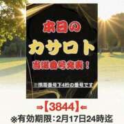ヒメ日記 2026/02/05 11:08 投稿 鈴谷ゆうり 五十路マダム　和歌山店
