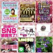 ヒメ日記 2026/02/06 08:34 投稿 鈴谷ゆうり 五十路マダム　和歌山店