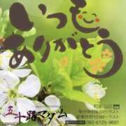 ヒメ日記 2026/02/06 18:00 投稿 鈴谷ゆうり 五十路マダム　和歌山店