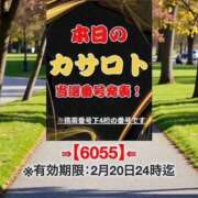 ヒメ日記 2026/02/09 11:26 投稿 鈴谷ゆうり 五十路マダム　和歌山店
