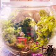 ヒメ日記 2026/02/10 16:50 投稿 鈴谷ゆうり 五十路マダム　和歌山店