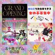 ヒメ日記 2026/02/11 11:32 投稿 鈴谷ゆうり 五十路マダム　和歌山店