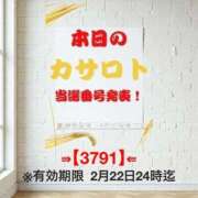 ヒメ日記 2026/02/11 12:02 投稿 鈴谷ゆうり 五十路マダム　和歌山店