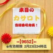 ヒメ日記 2026/02/12 12:56 投稿 鈴谷ゆうり 五十路マダム　和歌山店