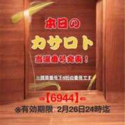 ヒメ日記 2026/02/15 12:24 投稿 鈴谷ゆうり 五十路マダム　和歌山店