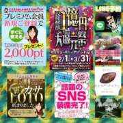 ヒメ日記 2026/02/17 10:20 投稿 鈴谷ゆうり 五十路マダム　和歌山店