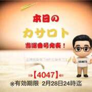 ヒメ日記 2026/02/17 10:32 投稿 鈴谷ゆうり 五十路マダム　和歌山店