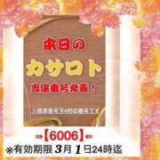 ヒメ日記 2026/02/18 11:46 投稿 鈴谷ゆうり 五十路マダム　和歌山店