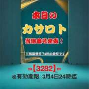 ヒメ日記 2026/02/19 12:12 投稿 鈴谷ゆうり 五十路マダム　和歌山店
