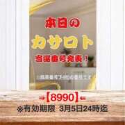 ヒメ日記 2026/02/20 11:36 投稿 鈴谷ゆうり 五十路マダム　和歌山店