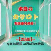 ヒメ日記 2026/02/21 10:16 投稿 鈴谷ゆうり 五十路マダム　和歌山店