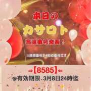 ヒメ日記 2026/02/23 11:40 投稿 鈴谷ゆうり 五十路マダム　和歌山店