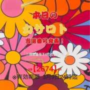 ヒメ日記 2026/02/24 12:58 投稿 鈴谷ゆうり 五十路マダム　和歌山店