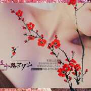 ヒメ日記 2026/02/25 00:40 投稿 鈴谷ゆうり 五十路マダム　和歌山店