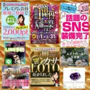 ヒメ日記 2026/02/25 07:04 投稿 鈴谷ゆうり 五十路マダム　和歌山店