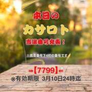 ヒメ日記 2026/02/25 12:36 投稿 鈴谷ゆうり 五十路マダム　和歌山店