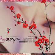 ヒメ日記 2026/02/25 22:22 投稿 鈴谷ゆうり 五十路マダム　和歌山店