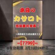 ヒメ日記 2026/02/26 12:12 投稿 鈴谷ゆうり 五十路マダム　和歌山店