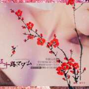 ヒメ日記 2026/02/27 17:30 投稿 鈴谷ゆうり 五十路マダム　和歌山店