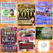 ヒメ日記 2026/03/02 07:46 投稿 鈴谷ゆうり 五十路マダム　和歌山店