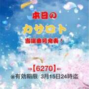 ヒメ日記 2026/03/03 11:10 投稿 鈴谷ゆうり 五十路マダム　和歌山店