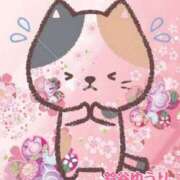 ヒメ日記 2026/03/03 18:52 投稿 鈴谷ゆうり 五十路マダム　和歌山店