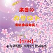 ヒメ日記 2026/03/05 10:30 投稿 鈴谷ゆうり 五十路マダム　和歌山店