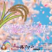 ヒメ日記 2026/03/05 17:06 投稿 鈴谷ゆうり 五十路マダム　和歌山店