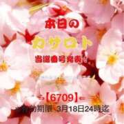 ヒメ日記 2026/03/06 10:24 投稿 鈴谷ゆうり 五十路マダム　和歌山店