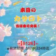 ヒメ日記 2026/03/07 13:50 投稿 鈴谷ゆうり 五十路マダム　和歌山店