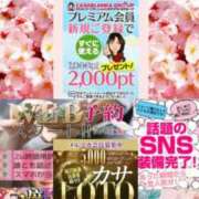 ヒメ日記 2026/03/08 12:28 投稿 鈴谷ゆうり 五十路マダム　和歌山店