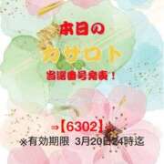 ヒメ日記 2026/03/08 12:50 投稿 鈴谷ゆうり 五十路マダム　和歌山店