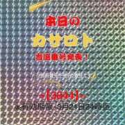 ヒメ日記 2026/03/09 10:22 投稿 鈴谷ゆうり 五十路マダム　和歌山店