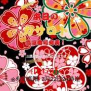 ヒメ日記 2026/03/10 10:10 投稿 鈴谷ゆうり 五十路マダム　和歌山店