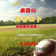 ヒメ日記 2026/03/11 15:50 投稿 鈴谷ゆうり 五十路マダム　和歌山店