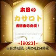 ヒメ日記 2026/03/12 13:52 投稿 鈴谷ゆうり 五十路マダム　和歌山店