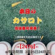 ヒメ日記 2026/03/13 11:44 投稿 鈴谷ゆうり 五十路マダム　和歌山店