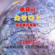 ヒメ日記 2026/03/15 12:42 投稿 鈴谷ゆうり 五十路マダム　和歌山店