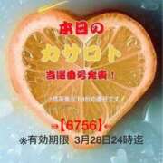 ヒメ日記 2026/03/16 17:44 投稿 鈴谷ゆうり 五十路マダム　和歌山店