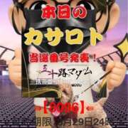 ヒメ日記 2026/03/17 10:58 投稿 鈴谷ゆうり 五十路マダム　和歌山店