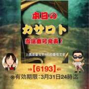 ヒメ日記 2026/03/19 10:22 投稿 鈴谷ゆうり 五十路マダム　和歌山店