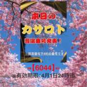 ヒメ日記 2026/03/20 14:42 投稿 鈴谷ゆうり 五十路マダム　和歌山店