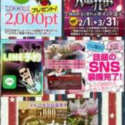 ヒメ日記 2026/03/21 11:32 投稿 鈴谷ゆうり 五十路マダム　和歌山店