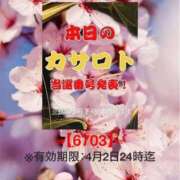 ヒメ日記 2026/03/21 12:02 投稿 鈴谷ゆうり 五十路マダム　和歌山店
