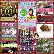 ヒメ日記 2026/03/23 08:16 投稿 鈴谷ゆうり 五十路マダム　和歌山店