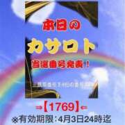 ヒメ日記 2026/03/24 17:18 投稿 鈴谷ゆうり 五十路マダム　和歌山店
