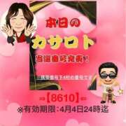 ヒメ日記 2026/03/25 10:20 投稿 鈴谷ゆうり 五十路マダム　和歌山店
