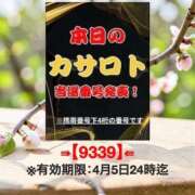 ヒメ日記 2026/03/26 10:32 投稿 鈴谷ゆうり 五十路マダム　和歌山店