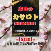 ヒメ日記 2026/03/30 11:16 投稿 鈴谷ゆうり 五十路マダム　和歌山店