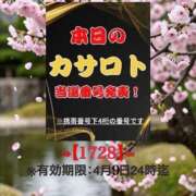 ヒメ日記 2026/03/31 11:42 投稿 鈴谷ゆうり 五十路マダム　和歌山店